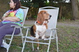 Enlarge photo 27