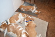 Enlarge photo 34