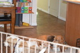 Enlarge photo 36