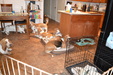 Enlarge photo 40