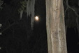 Enlarge photo 48