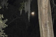 Enlarge photo 49