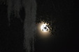 Enlarge photo 50