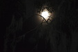 Enlarge photo 47