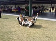Enlarge photo 12