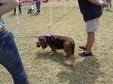 Enlarge photo 18