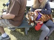 Enlarge photo 30