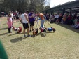 Enlarge photo 32