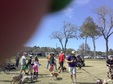 Enlarge photo 41