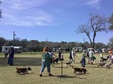 Enlarge photo 42