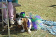 Enlarge photo 22