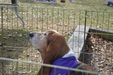 Enlarge photo 39