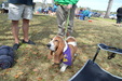 Enlarge photo 41
