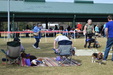 Enlarge photo 47