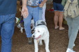 Enlarge photo 48