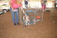 Enlarge photo 50