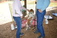Enlarge photo 51