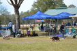 Enlarge photo 57
