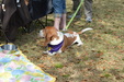 Enlarge photo 59