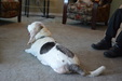Enlarge photo 7