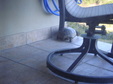 Florida creatures 2014