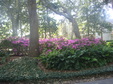 Enlarge photo 12