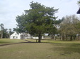 Enlarge photo 38