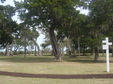 Enlarge photo 41