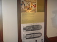 Enlarge photo 46