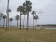 Enlarge photo 49