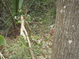 Enlarge photo 67