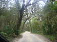 Enlarge photo 68