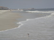 Enlarge photo 41
