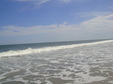 Enlarge photo 49
