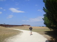 Enlarge photo 51