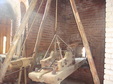 Enlarge photo 63