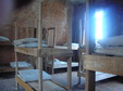 Enlarge photo 104
