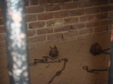 Enlarge photo 109