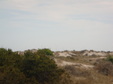 Enlarge photo 116