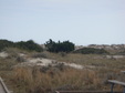 Enlarge photo 117