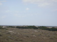 Enlarge photo 118
