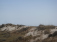 Enlarge photo 119