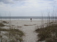 Enlarge photo 121