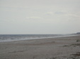 Enlarge photo 124