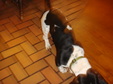 Enlarge photo 4