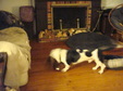 Enlarge photo 2