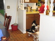 Enlarge photo 8