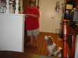 Enlarge photo 10
