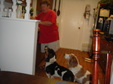 Enlarge photo 11