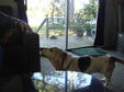 Enlarge photo 29